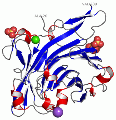 Image Asym./Biol. Unit - manually