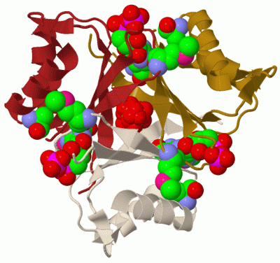 Image Biol.Unit 1 - manually
