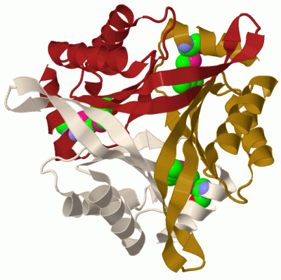 Image Biol.Unit 1 - manually