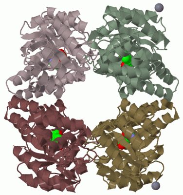 Image Biol.Unit 1 - manually