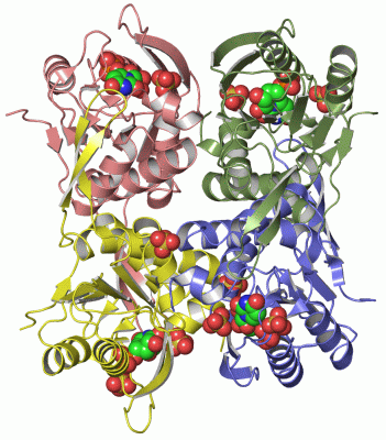 Image Asym./Biol. Unit - manually