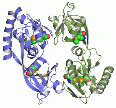 Image Asym./Biol. Unit - manually