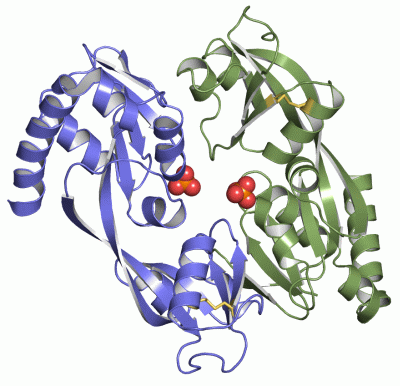 Image Asym./Biol. Unit - manually