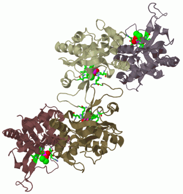 Image Biol.Unit 1 - manually