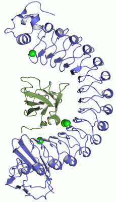 Image Asym./Biol. Unit - manually