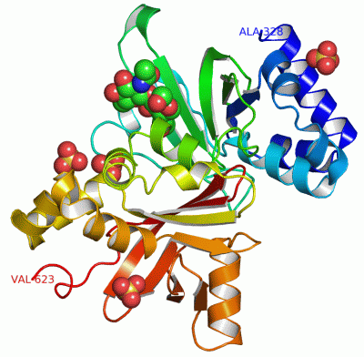 Image Asym./Biol. Unit - manually