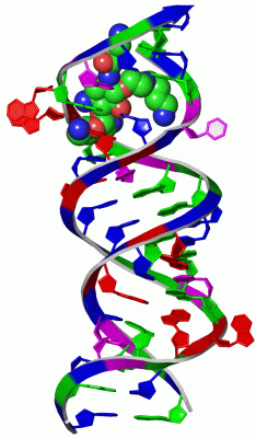 Image Asym./Biol. Unit - manually