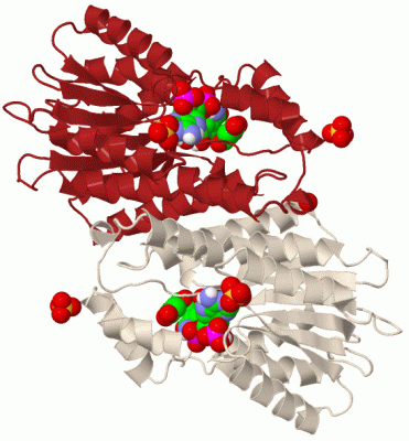 Image Biol.Unit 1 - manually