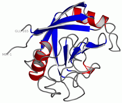 Image NMR Structure - manually