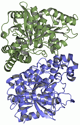 Image Asym./Biol. Unit - manually