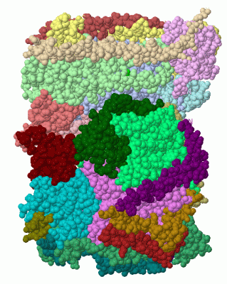 Image Asym./Biol. Unit - manually