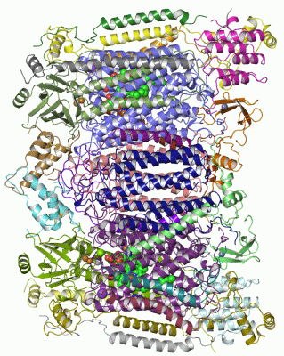 Image Asym./Biol. Unit - manually