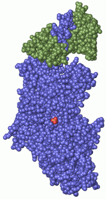 Image Asym./Biol. Unit - manually