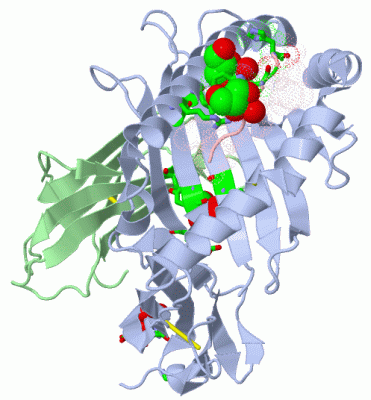 Image Asym./Biol. Unit - manually