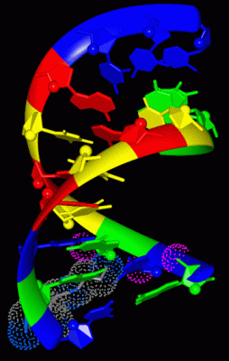 Image Asym./Biol. Unit - manually