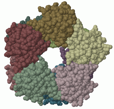 Image Biol.Unit 1 - manually