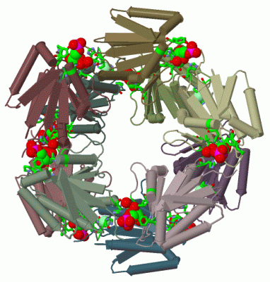 Image Biol.Unit 1 - manually