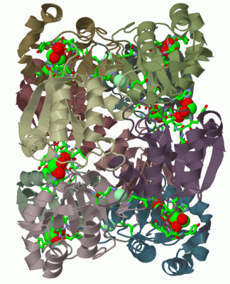 Image Biol.Unit 1 - manually