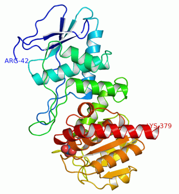 Image Asym./Biol. Unit - manually