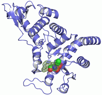 Image Asym./Biol. Unit - manually