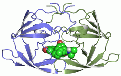Image Asym./Biol. Unit - manually