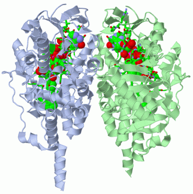 Image Asym./Biol. Unit - manually