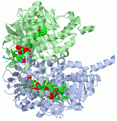 Image Asym./Biol. Unit - manually