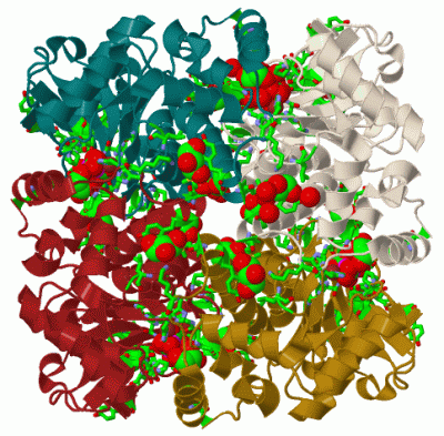 Image Biol.Unit 1 - manually