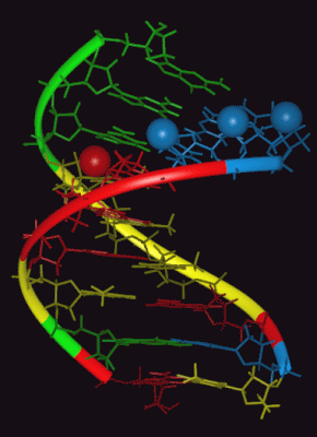 Image NMR Structure - manually