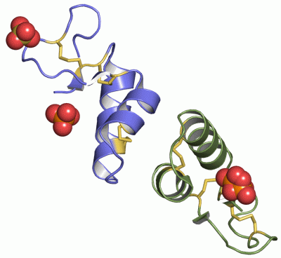 Image Asym./Biol. Unit - manually