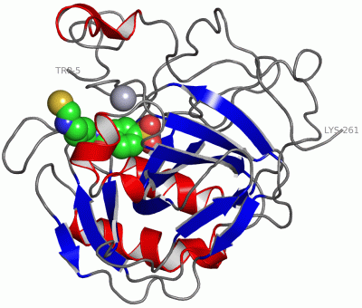 Image Asym./Biol. Unit - manually