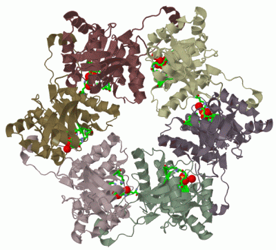 Image Biol.Unit 1 - manually