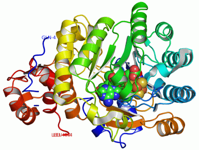 Image Asym./Biol. Unit - manually