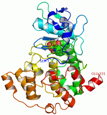 Image Asym./Biol. Unit - manually