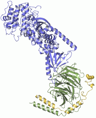 Image Asym./Biol. Unit - manually