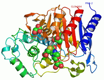 Image Asym./Biol. Unit - manually