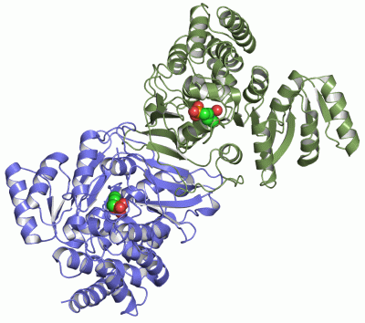 Image Asym./Biol. Unit - manually