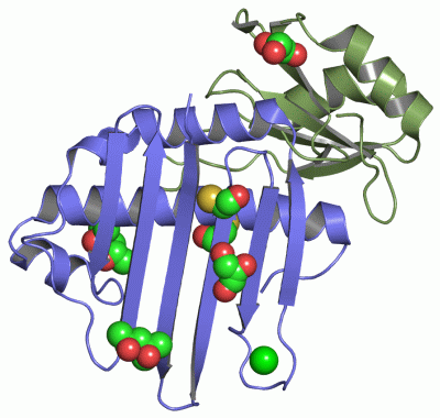 Image Asym./Biol. Unit - manually