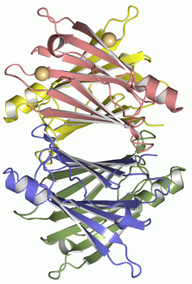 Image Asym./Biol. Unit - manually