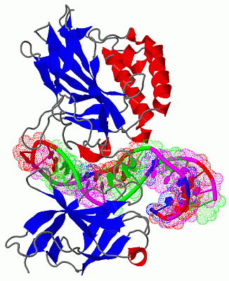 Image Biol.Unit 1 - manually