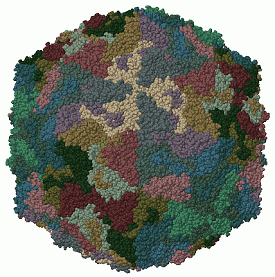 Image Biol.Unit 1 - manually