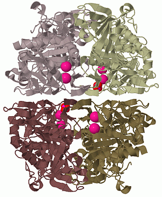 Image Biol.Unit 1 - manually