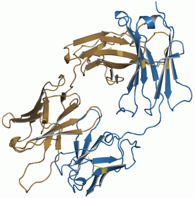 Image Asym./Biol. Unit - manually