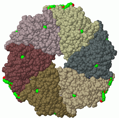 Image Biol.Unit 1 - manually