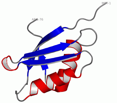 Image NMR Structure - manually