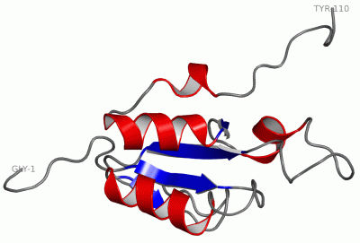 Image NMR Structure - manually