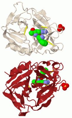 Image Biol.Unit 1 - manually
