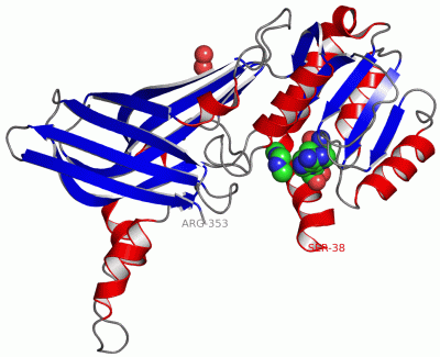Image Asym.Unit - manually