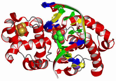 Image Asym./Biol. Unit - manually