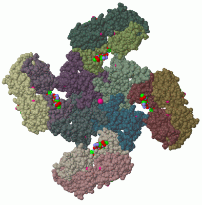 Image Biol.Unit 1 - manually